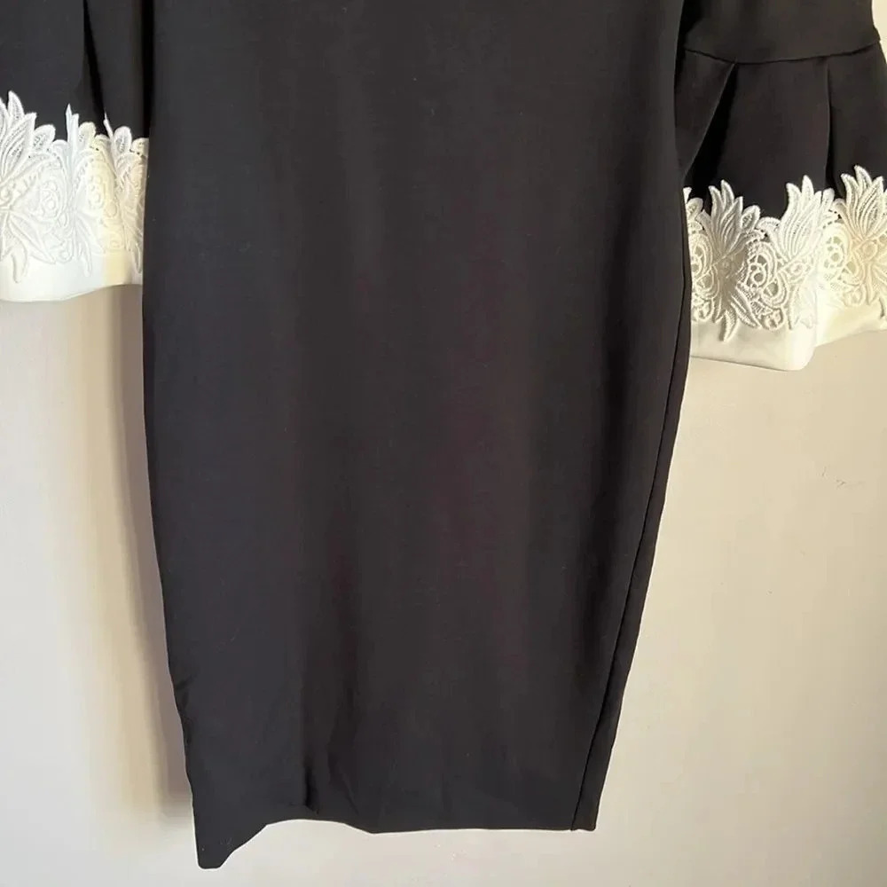 Ted Baker London Rastrel Sheath Dress - Picture 7 of 15